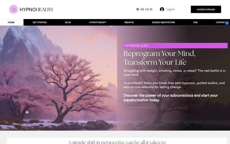 HypnoHealth website homepage